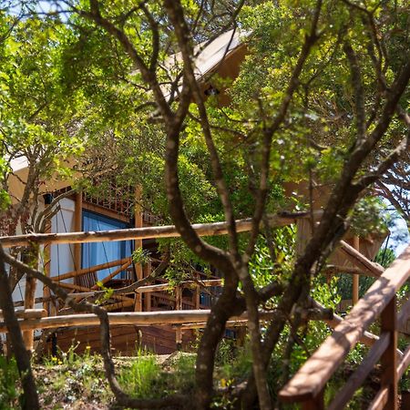 Camping Lacona Pineta 카폴리베리 외부 사진