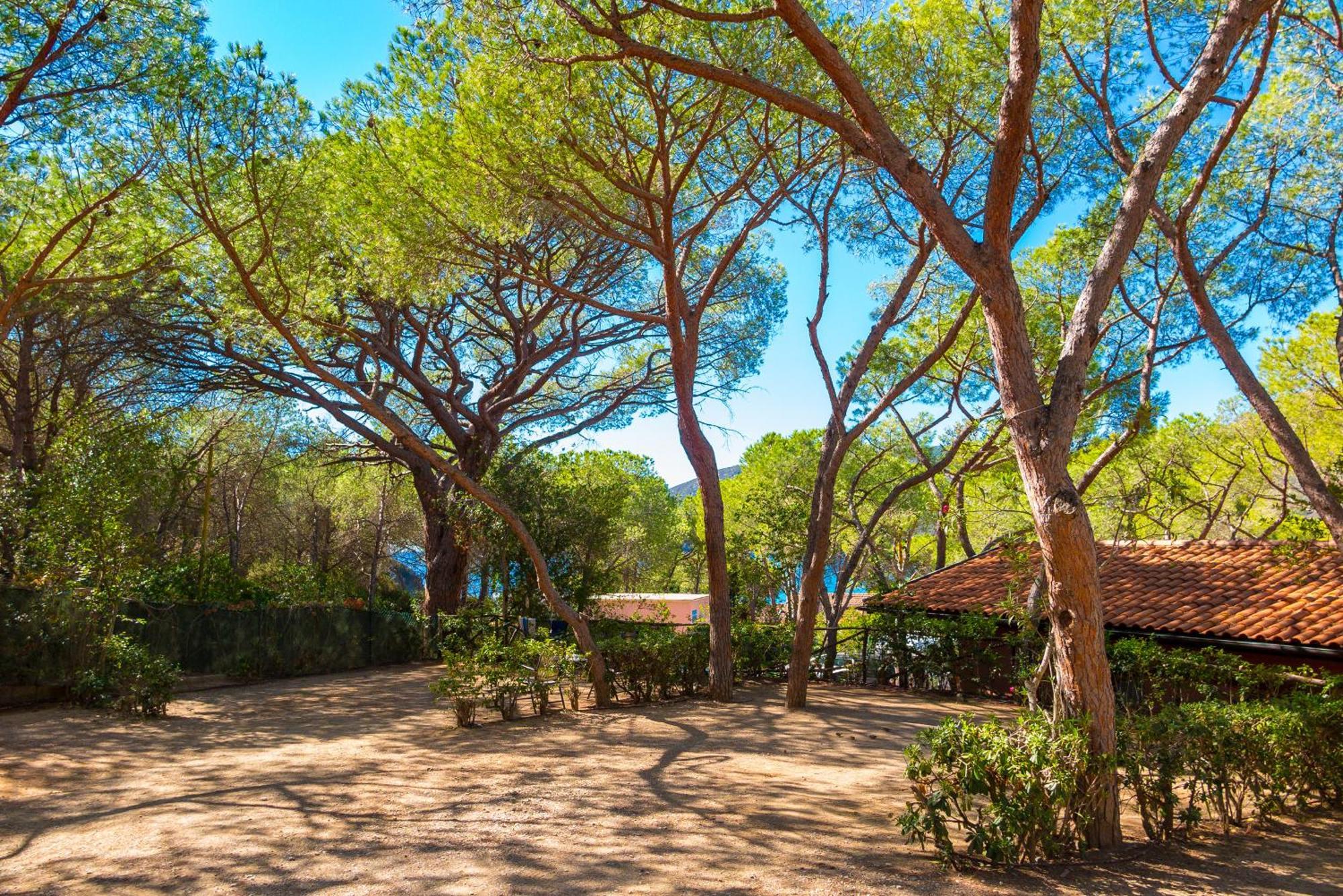 Camping Lacona Pineta 카폴리베리 외부 사진